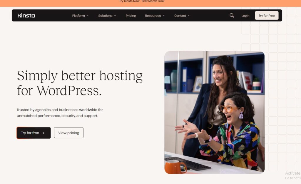 Kinsta hosting